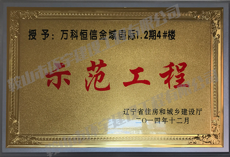 萬(wàn)科恒信金域國際示范工程.jpg